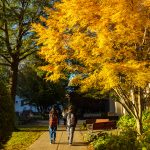 Hofstra Campus Fall