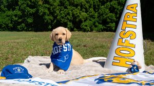 Dutch Hofstra's Puppy with a Purpose